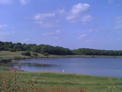 Arlington Reservoir at Arlington Reservoir
