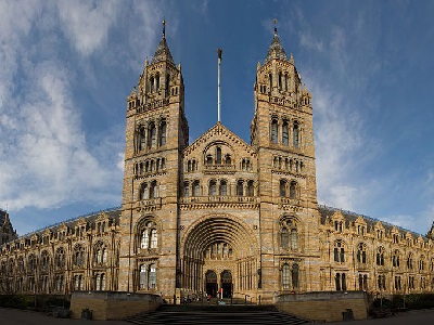 Natural History Museum at Natural History Museum